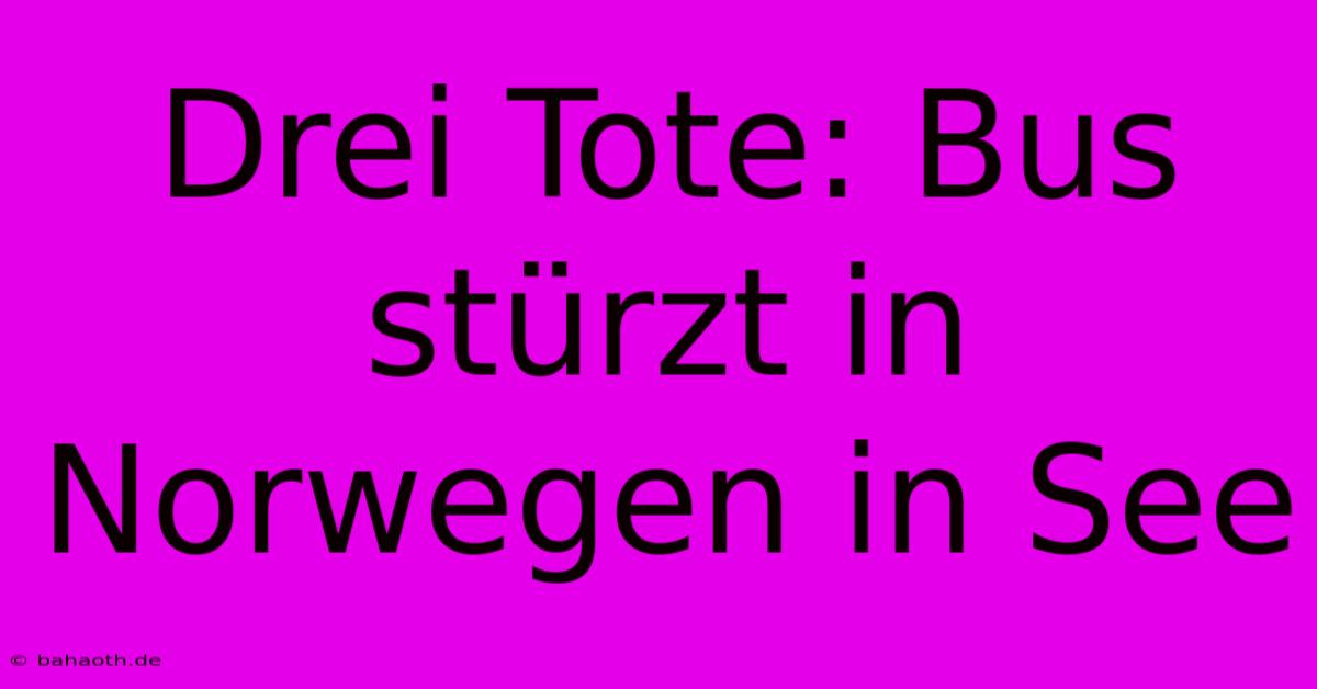 Drei Tote: Bus Stürzt In Norwegen In See