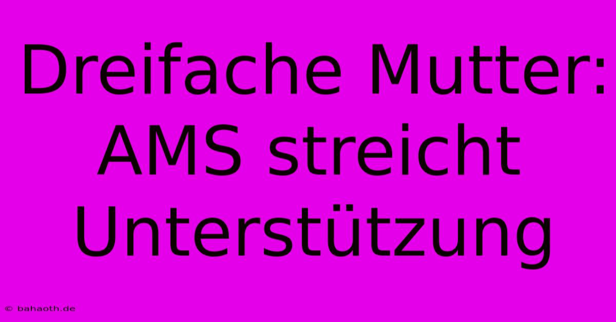 Dreifache Mutter: AMS Streicht Unterstützung