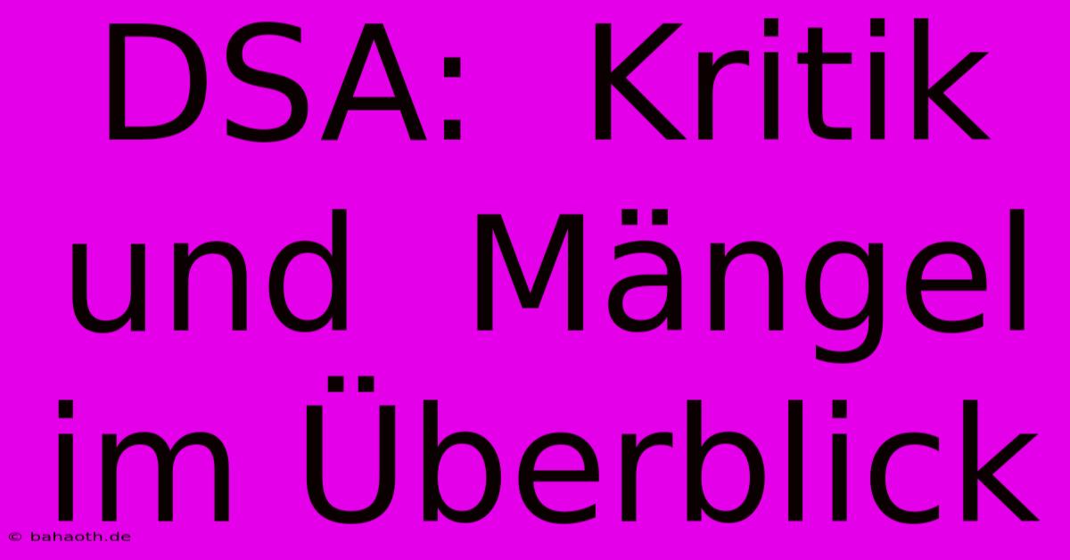 DSA:  Kritik Und  Mängel Im Überblick