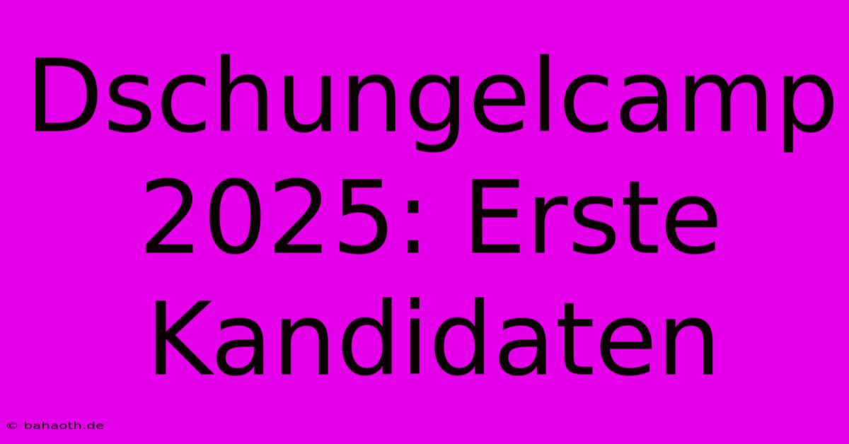 Dschungelcamp 2025: Erste Kandidaten