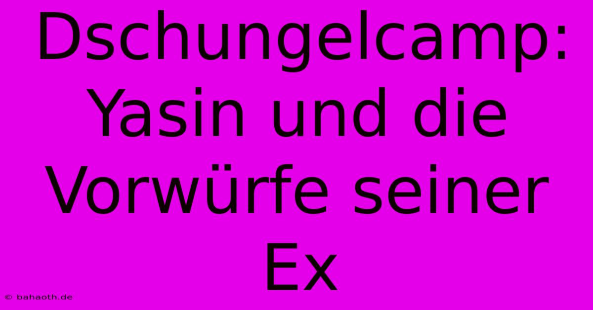 Dschungelcamp: Yasin Und Die Vorwürfe Seiner Ex