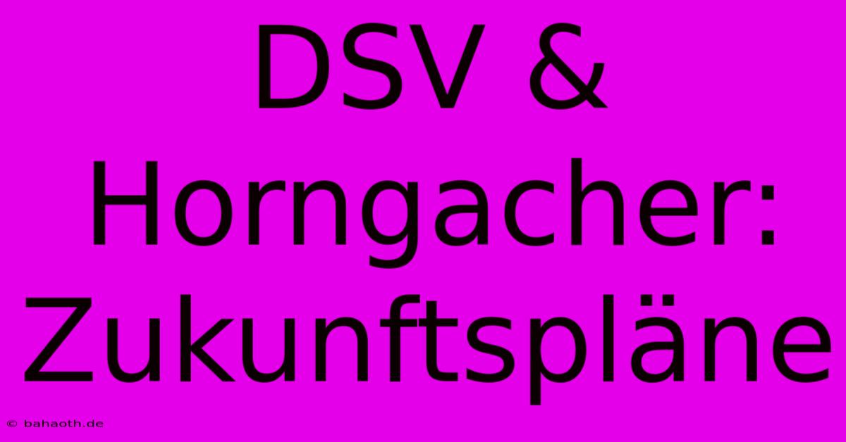 DSV & Horngacher: Zukunftspläne