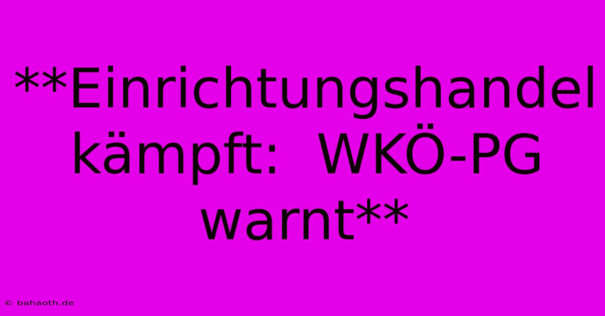 **Einrichtungshandel Kämpft:  WKÖ-PG Warnt**