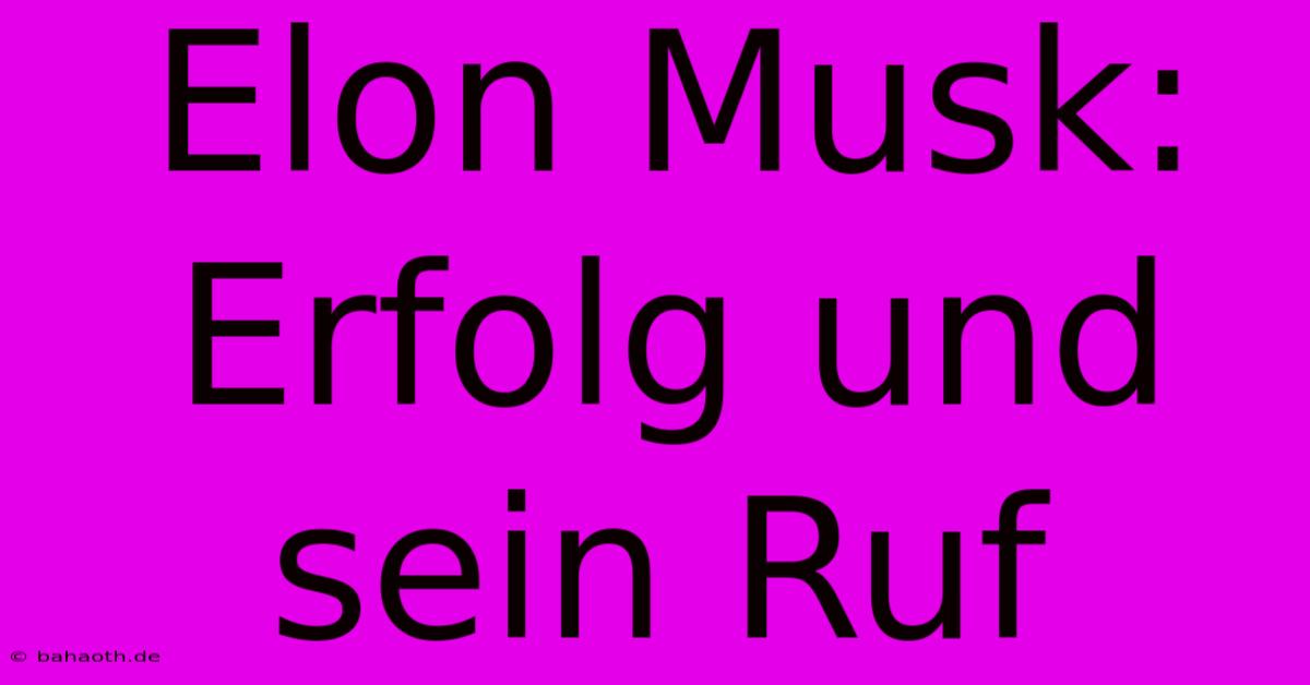 Elon Musk:  Erfolg Und Sein Ruf