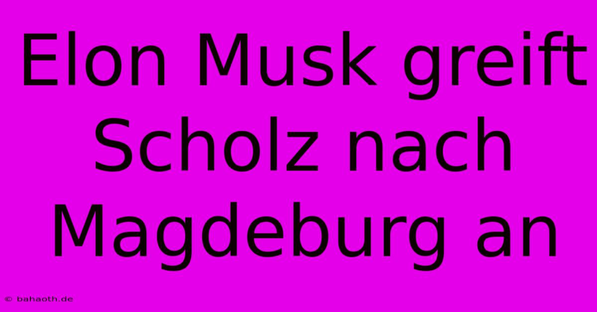 Elon Musk Greift Scholz Nach Magdeburg An