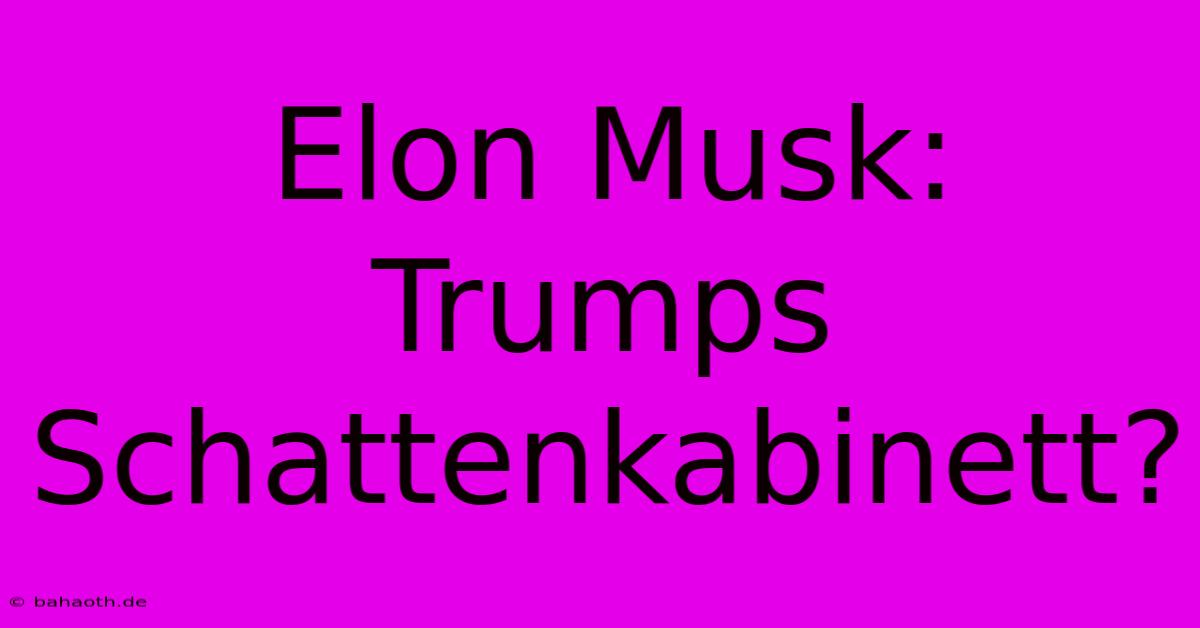 Elon Musk: Trumps Schattenkabinett?