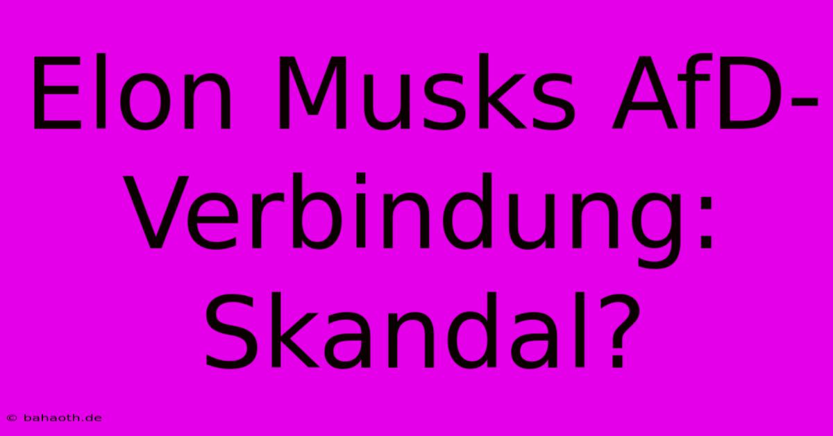 Elon Musks AfD-Verbindung: Skandal?