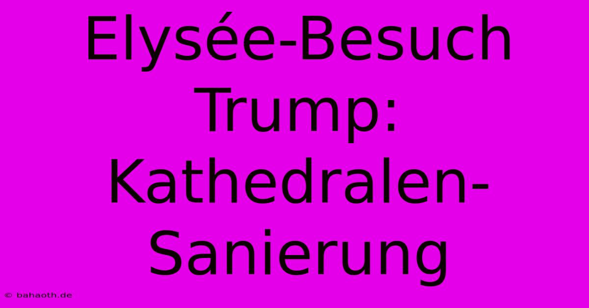 Elysée-Besuch Trump:  Kathedralen-Sanierung