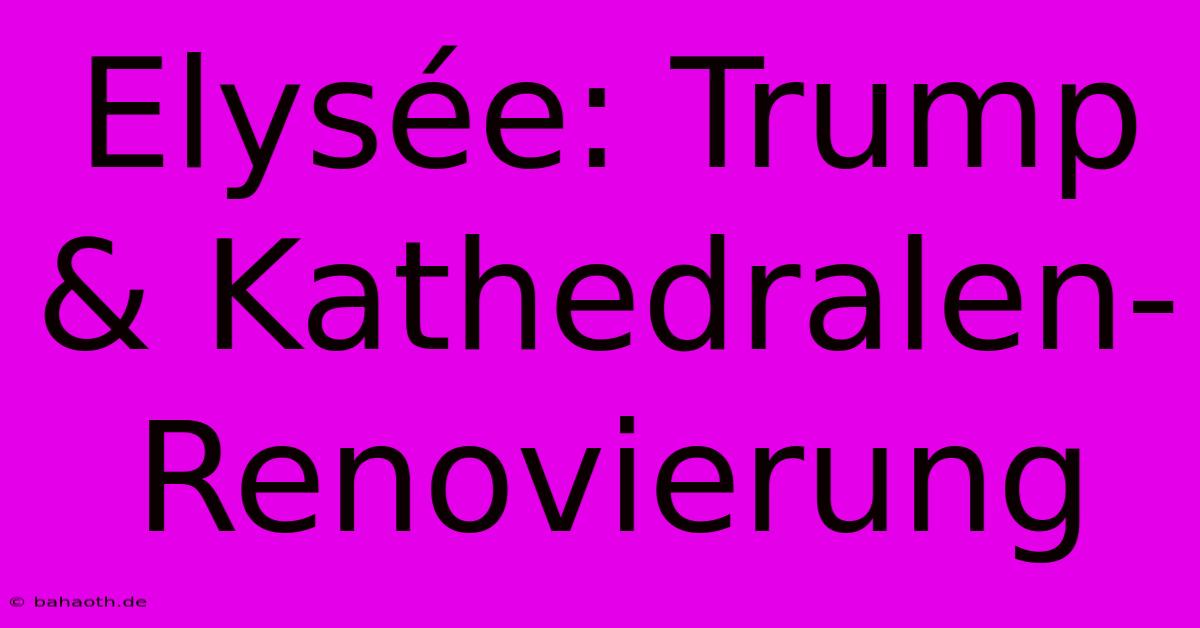 Elysée: Trump & Kathedralen-Renovierung