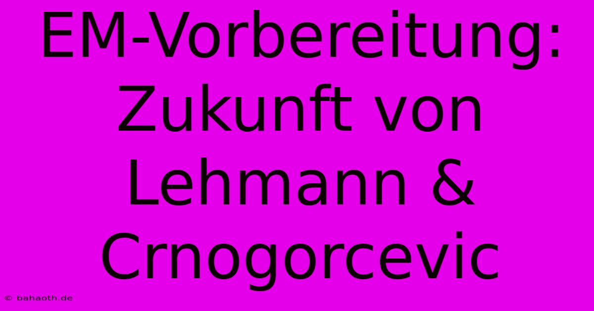 EM-Vorbereitung: Zukunft Von Lehmann & Crnogorcevic