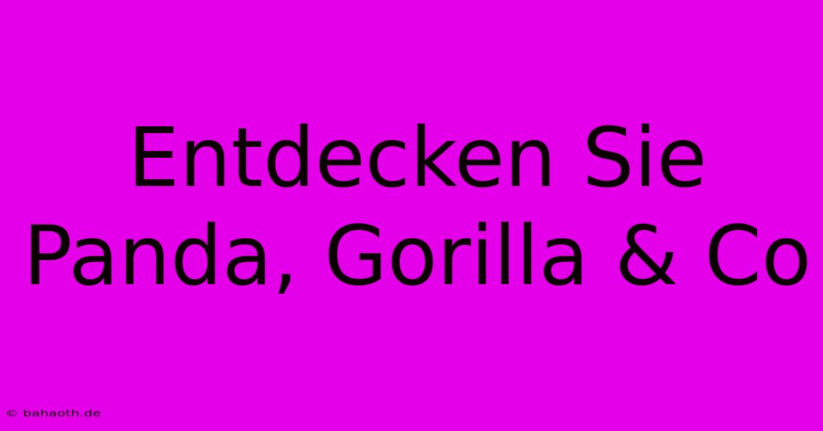 Entdecken Sie Panda, Gorilla & Co