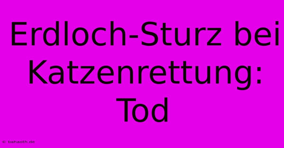 Erdloch-Sturz Bei Katzenrettung: Tod