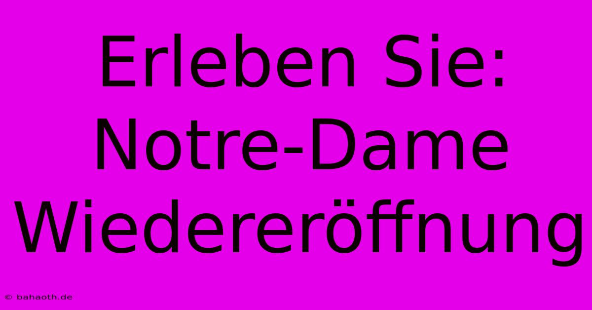 Erleben Sie: Notre-Dame Wiedereröffnung