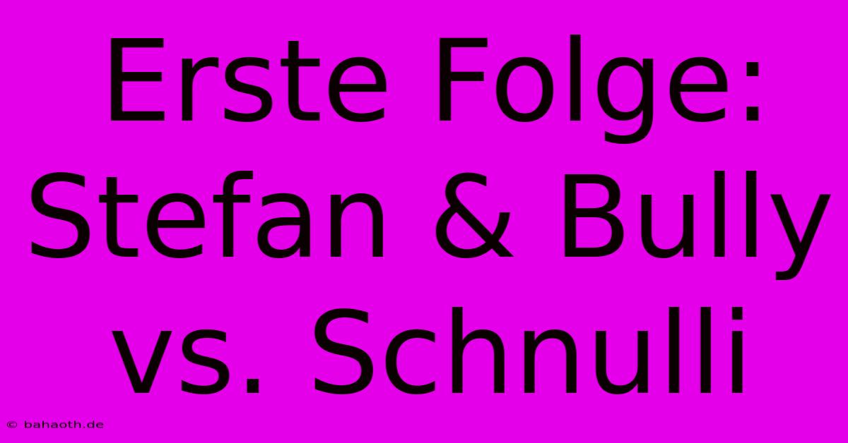 Erste Folge: Stefan & Bully Vs. Schnulli