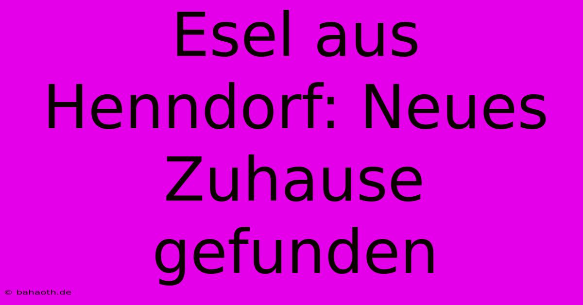 Esel Aus Henndorf: Neues Zuhause Gefunden