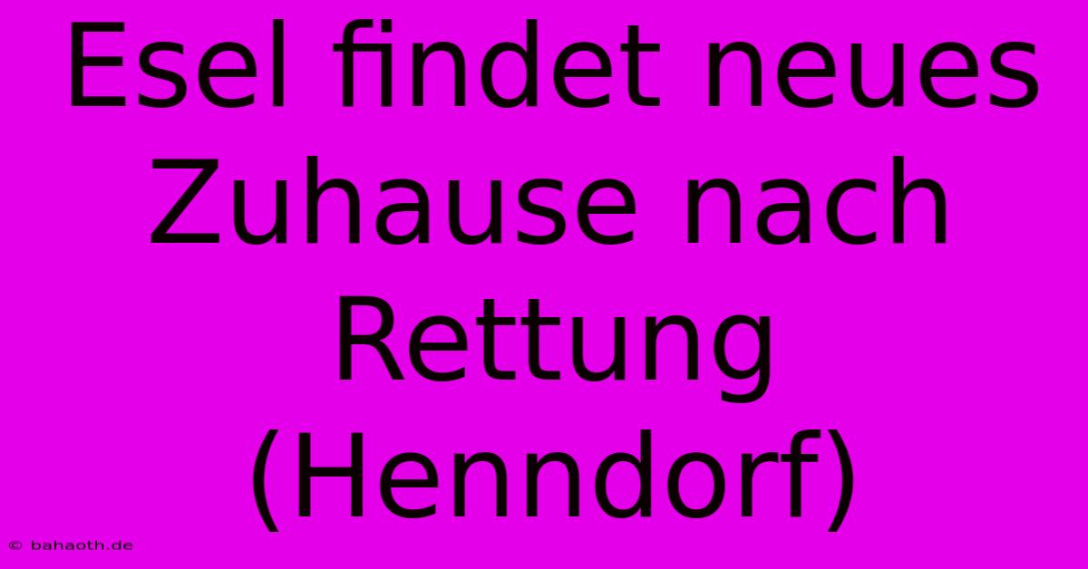 Esel Findet Neues Zuhause Nach Rettung (Henndorf)