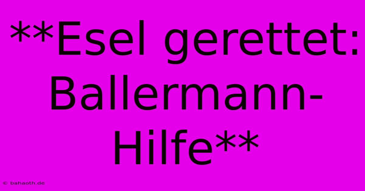 **Esel Gerettet: Ballermann-Hilfe**