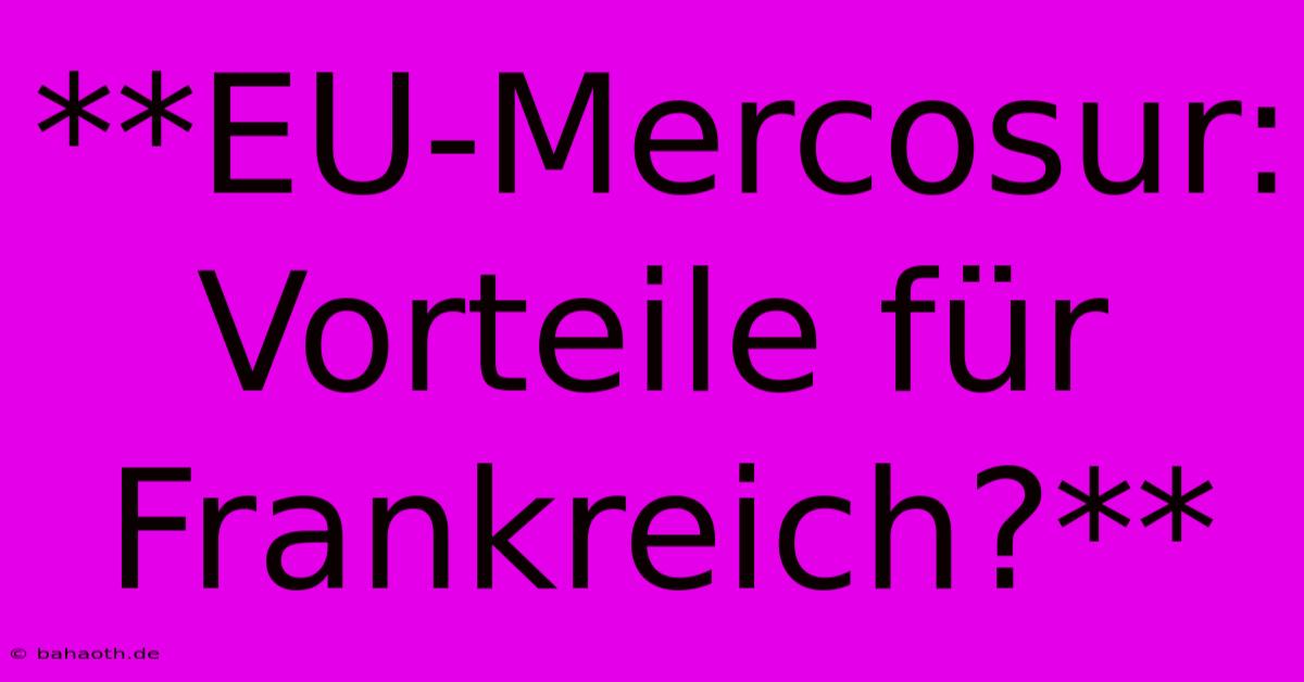 **EU-Mercosur: Vorteile Für Frankreich?**