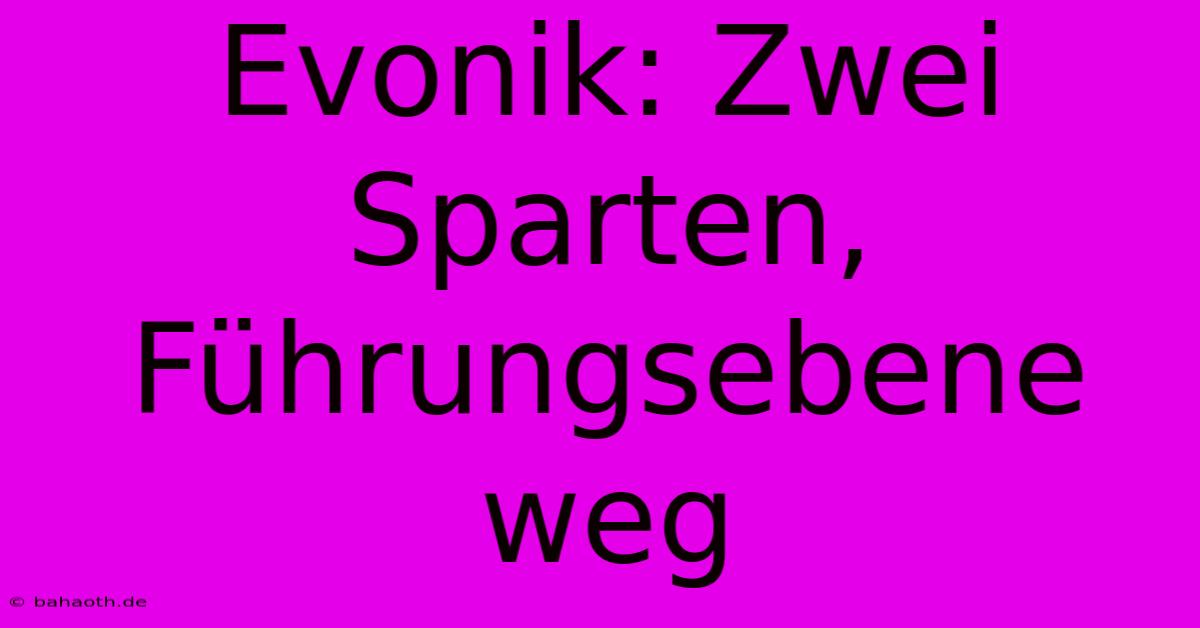 Evonik: Zwei Sparten, Führungsebene Weg