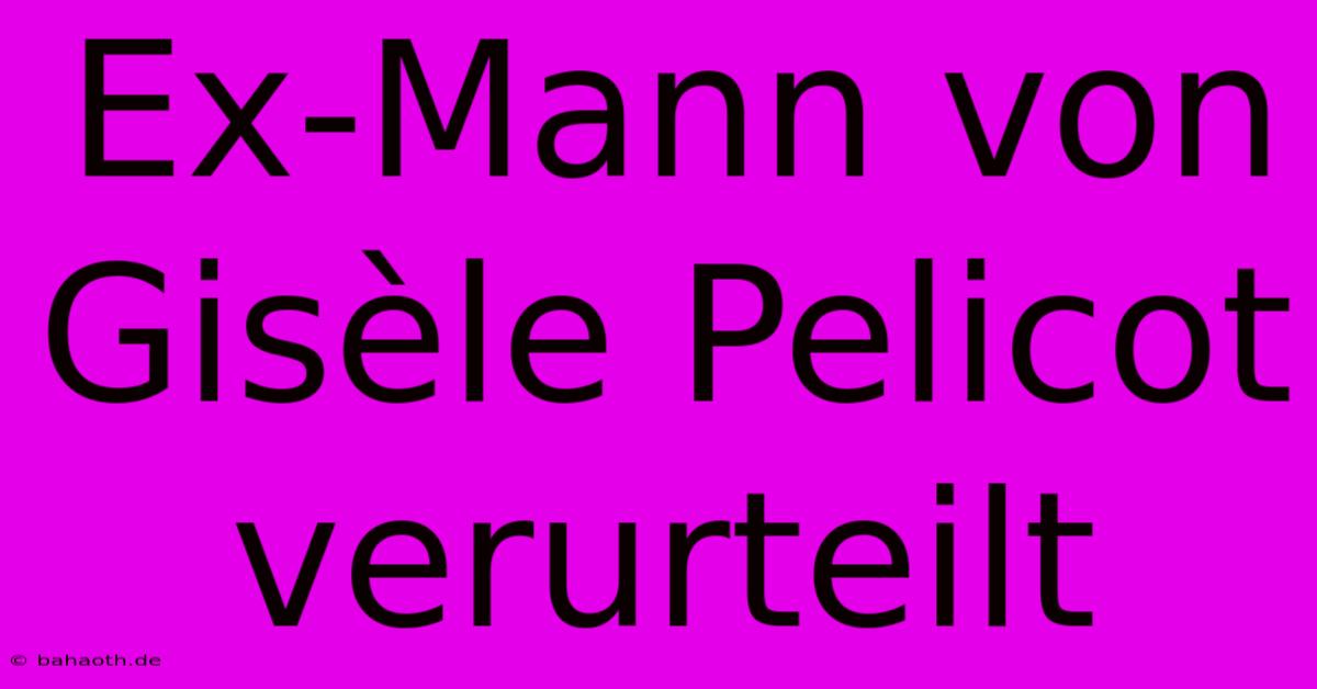 Ex-Mann Von Gisèle Pelicot Verurteilt