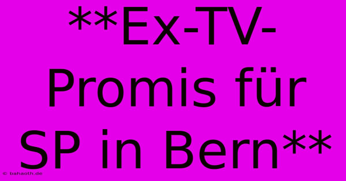 **Ex-TV-Promis Für SP In Bern**