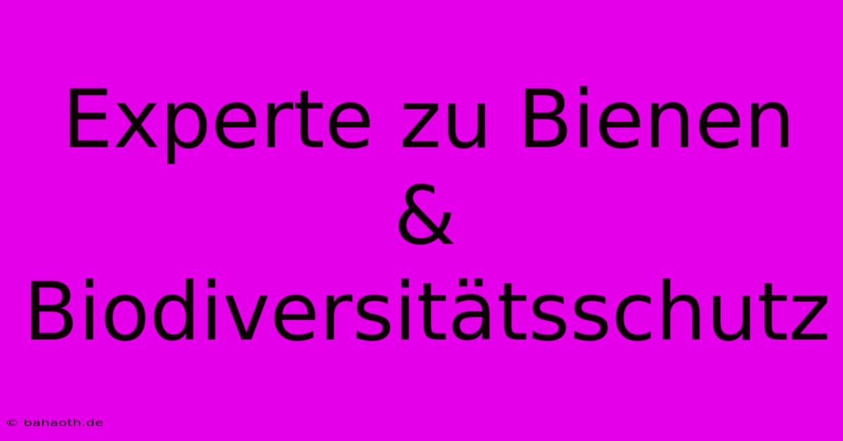 Experte Zu Bienen & Biodiversitätsschutz