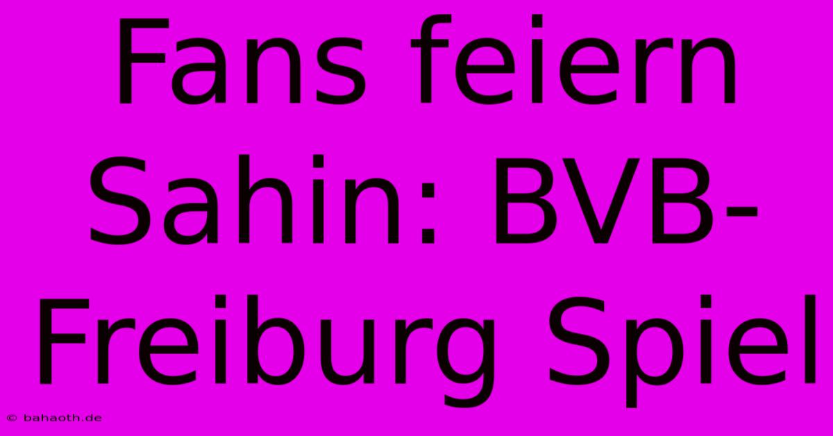 Fans Feiern Sahin: BVB-Freiburg Spiel