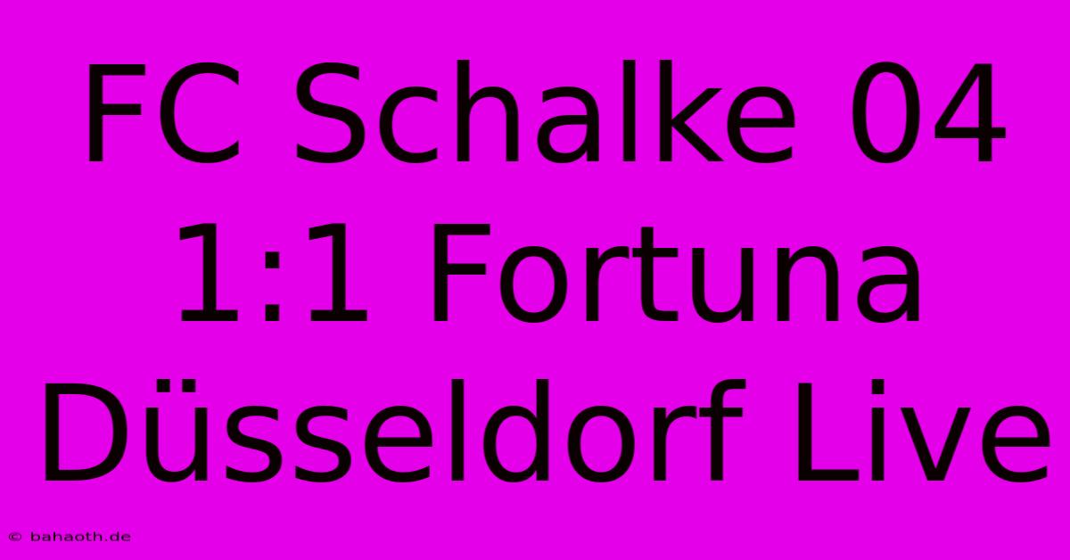 FC Schalke 04 1:1 Fortuna Düsseldorf Live