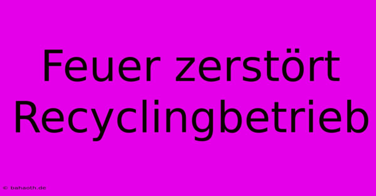 Feuer Zerstört Recyclingbetrieb