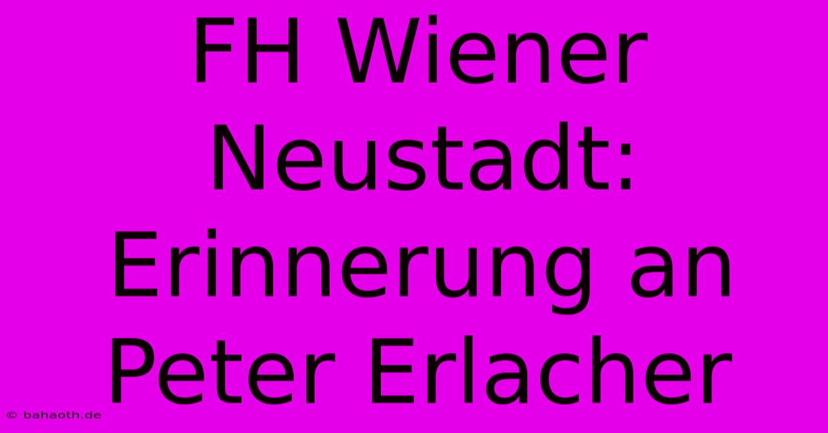 FH Wiener Neustadt: Erinnerung An Peter Erlacher