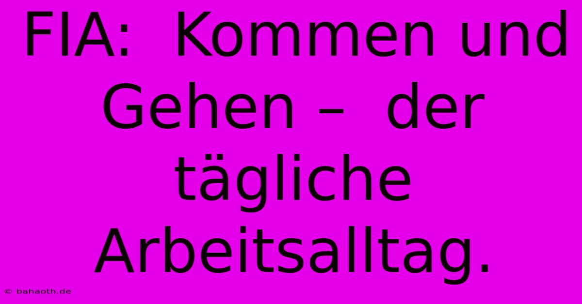 FIA:  Kommen Und Gehen –  Der Tägliche Arbeitsalltag.