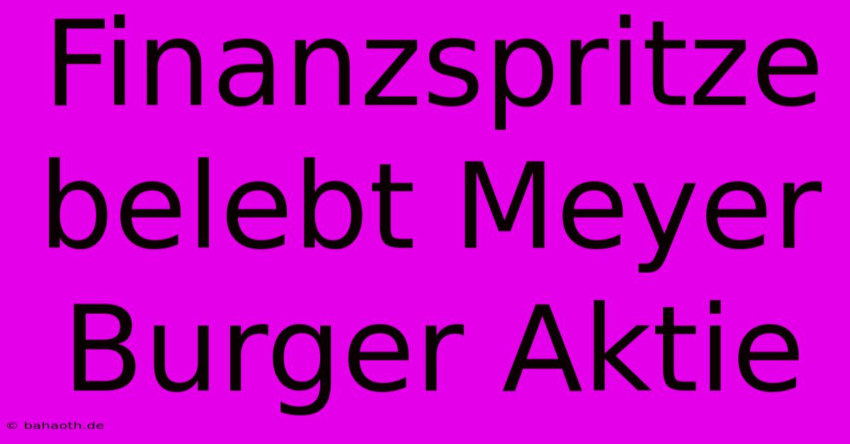 Finanzspritze Belebt Meyer Burger Aktie