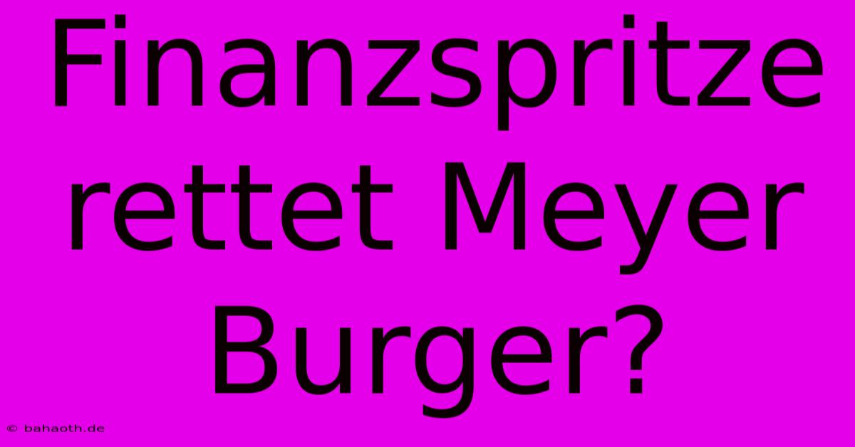 Finanzspritze Rettet Meyer Burger?