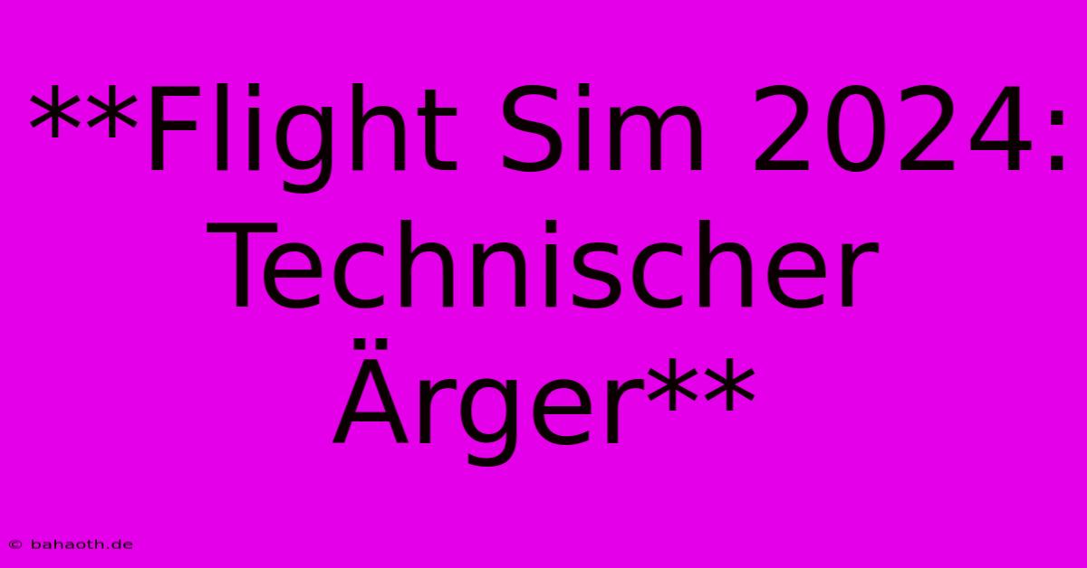 **Flight Sim 2024:  Technischer Ärger**