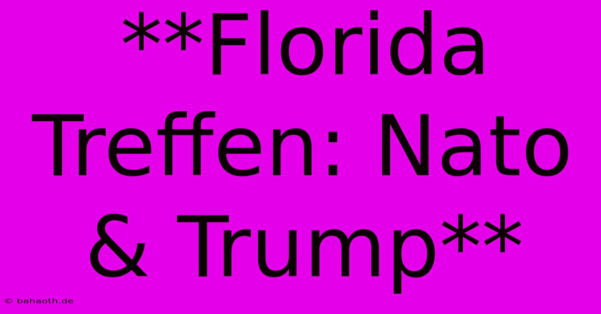 **Florida Treffen: Nato & Trump**