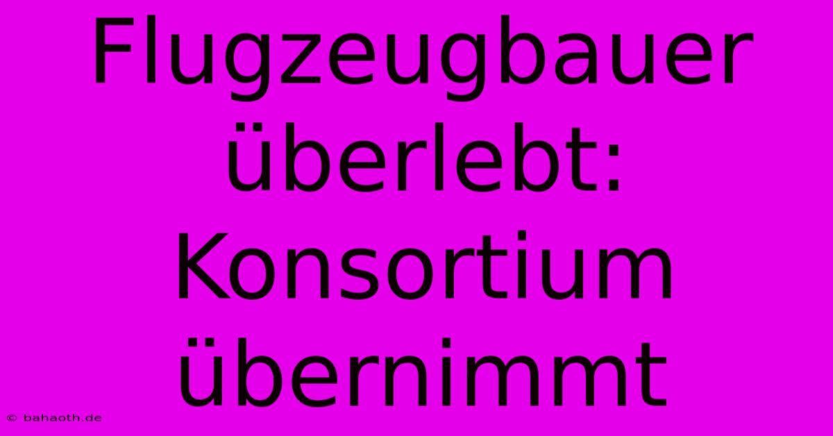 Flugzeugbauer Überlebt: Konsortium Übernimmt