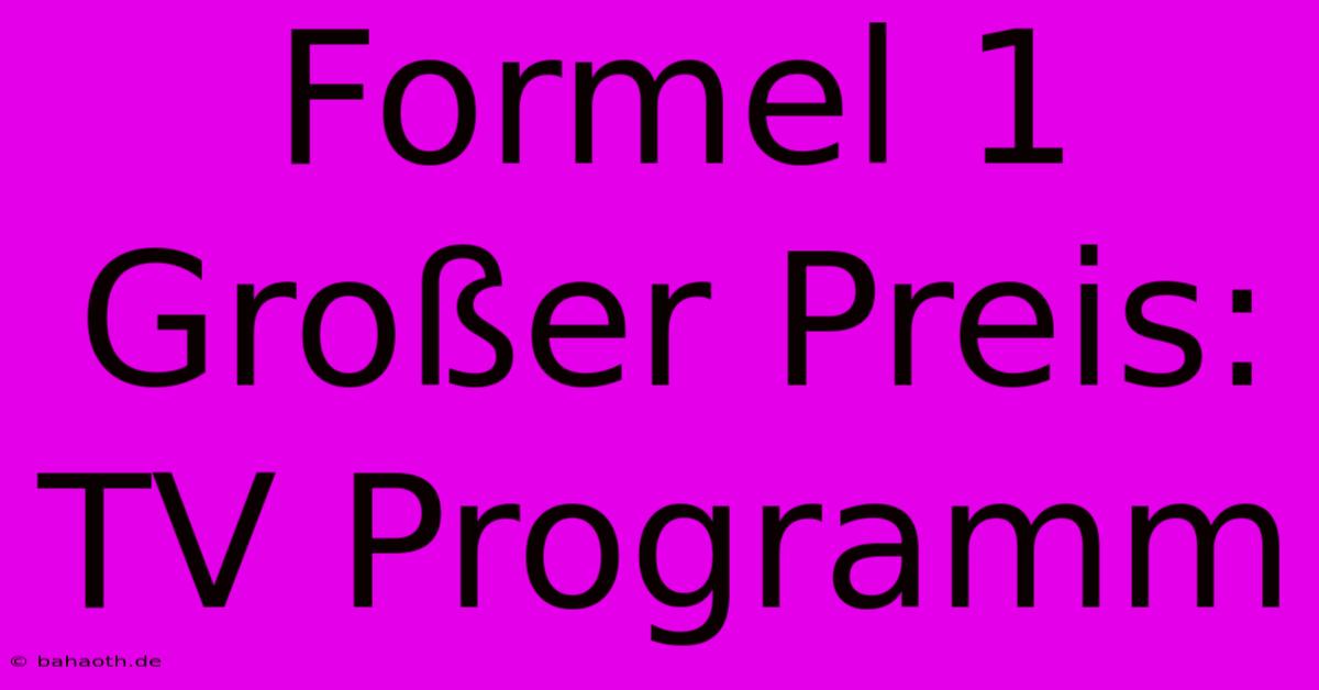 Formel 1 Großer Preis: TV Programm