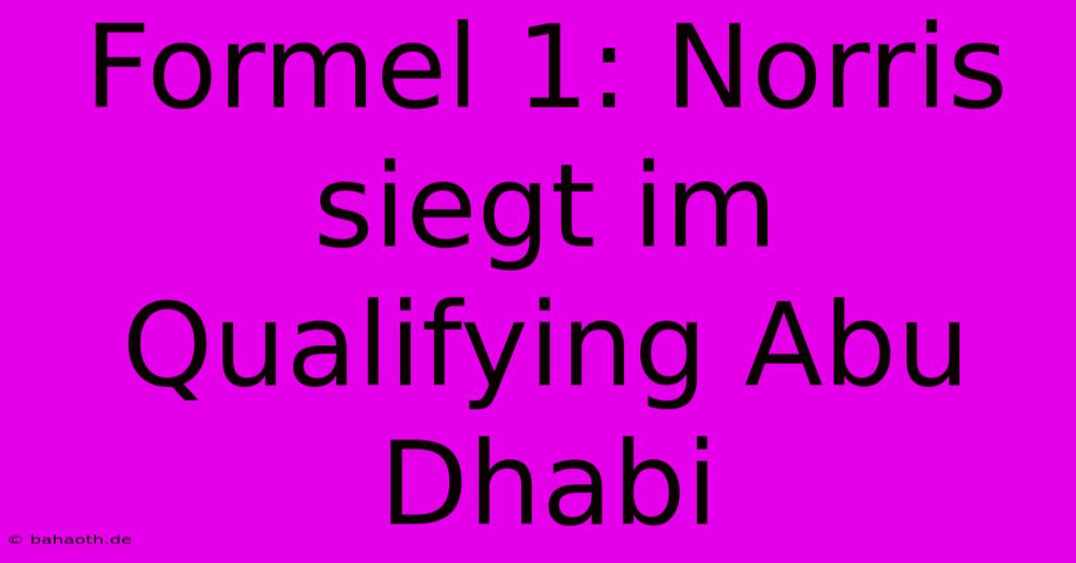 Formel 1: Norris Siegt Im Qualifying Abu Dhabi