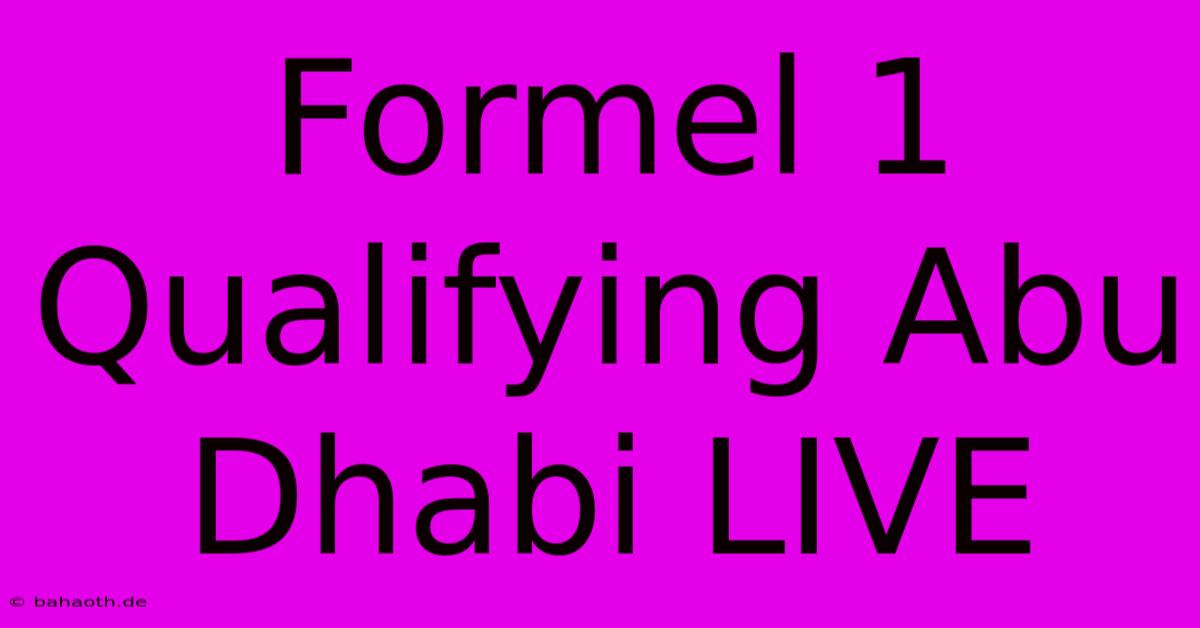 Formel 1 Qualifying Abu Dhabi LIVE