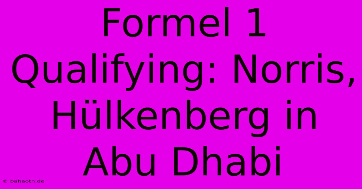 Formel 1 Qualifying: Norris, Hülkenberg In Abu Dhabi