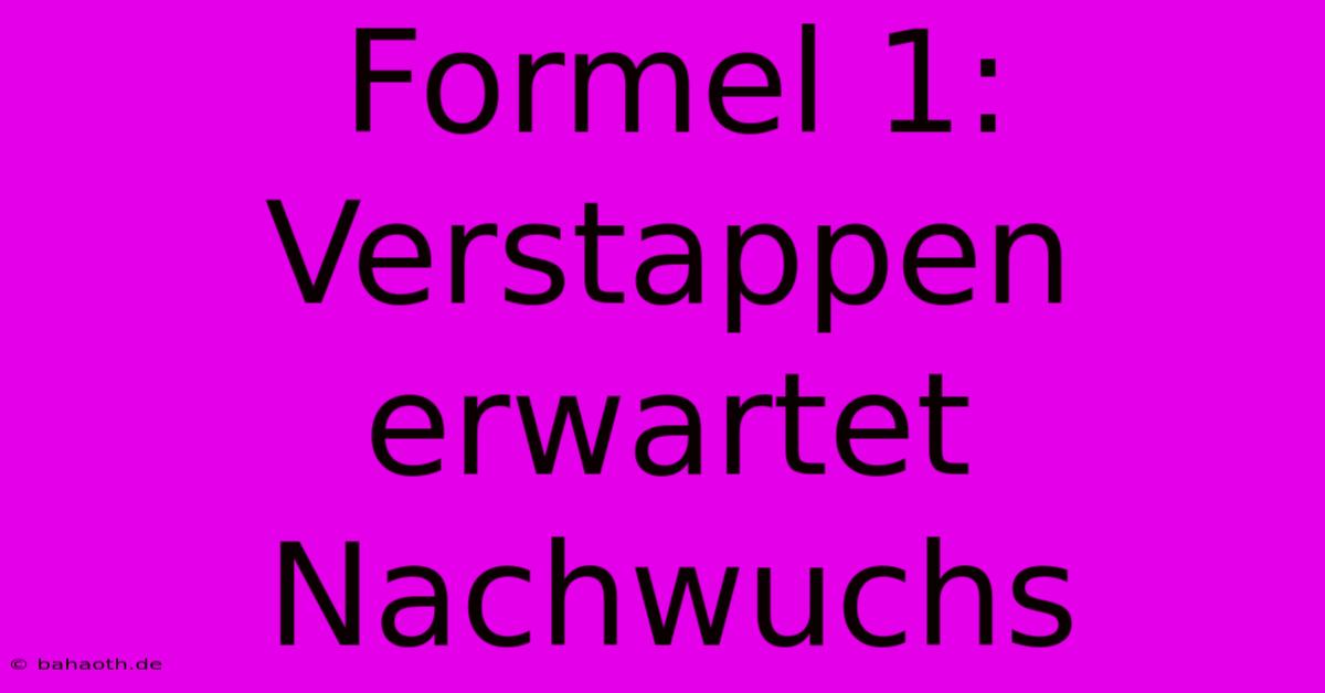 Formel 1: Verstappen Erwartet Nachwuchs