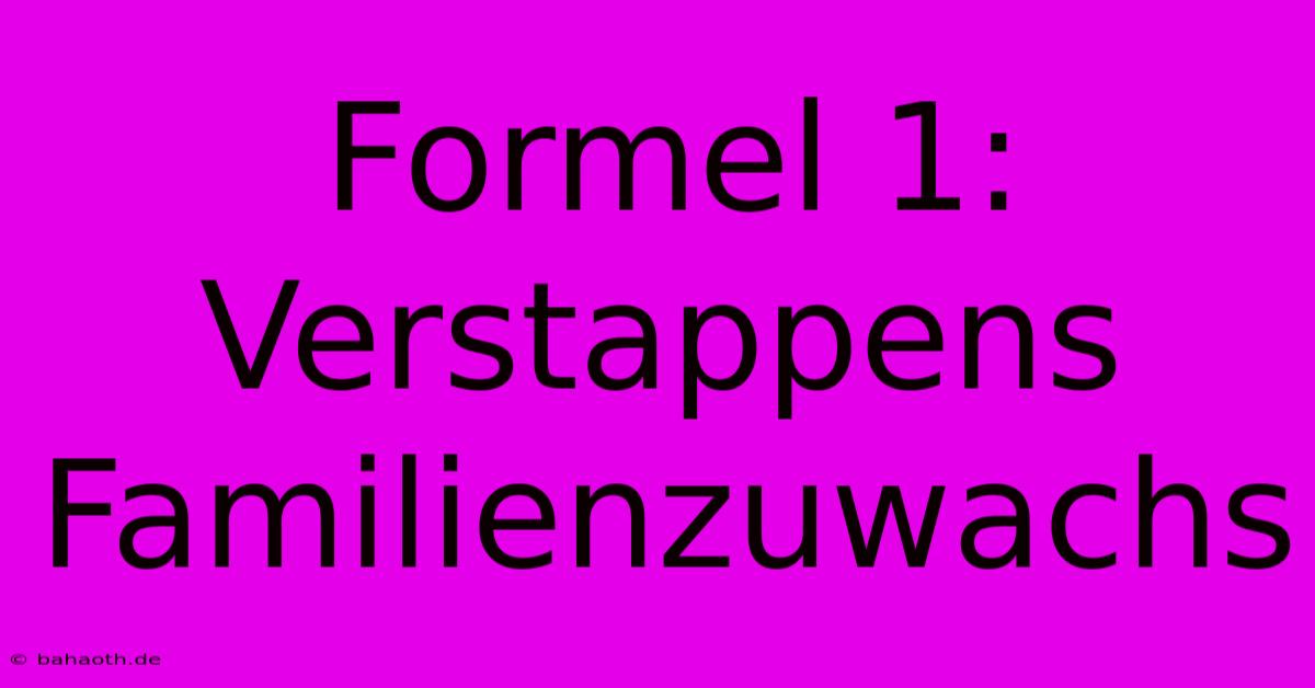 Formel 1: Verstappens Familienzuwachs