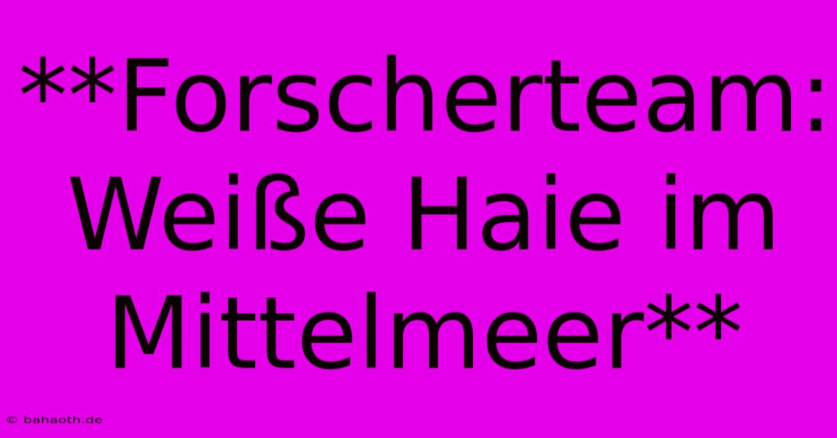 **Forscherteam: Weiße Haie Im Mittelmeer**