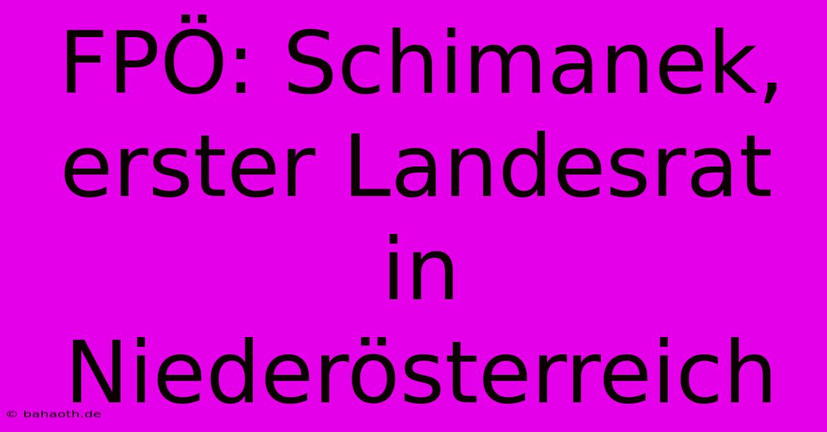 FPÖ: Schimanek, Erster Landesrat In Niederösterreich