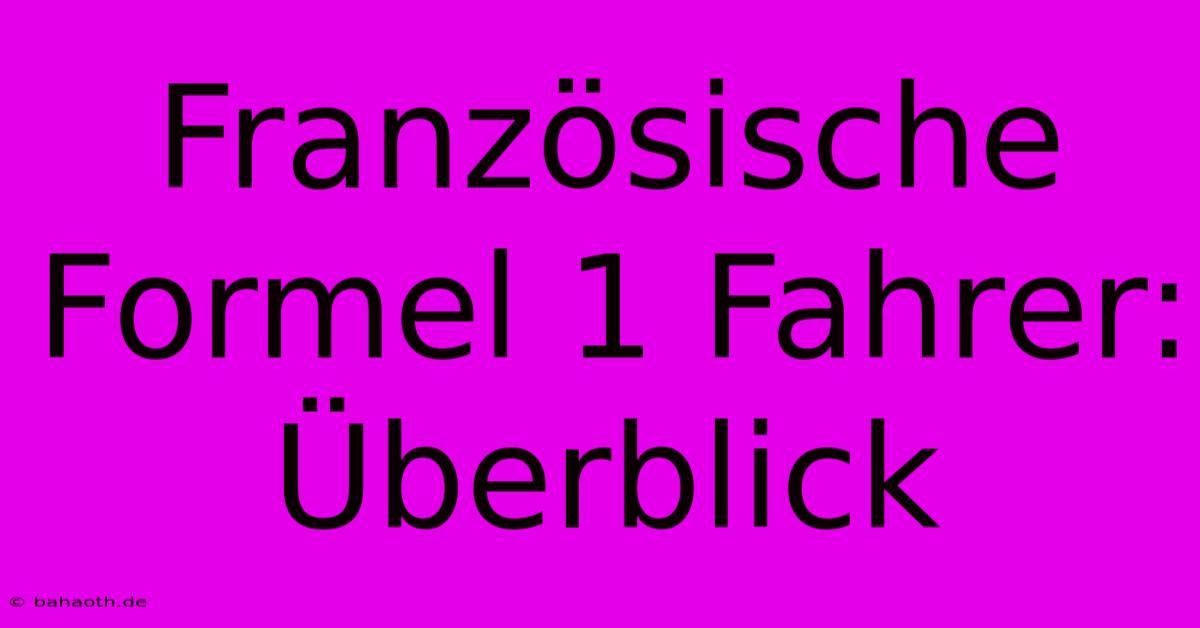 Französische Formel 1 Fahrer: Überblick