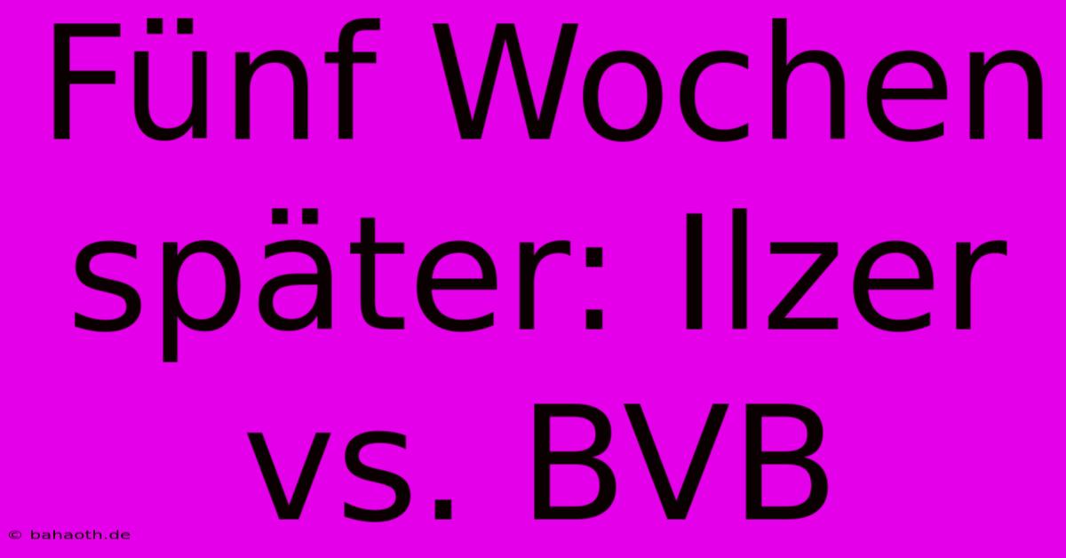 Fünf Wochen Später: Ilzer Vs. BVB