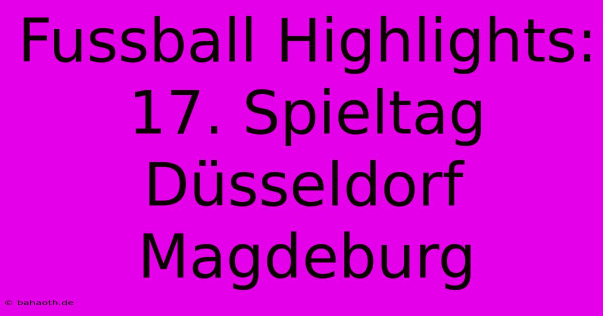 Fussball Highlights: 17. Spieltag Düsseldorf Magdeburg