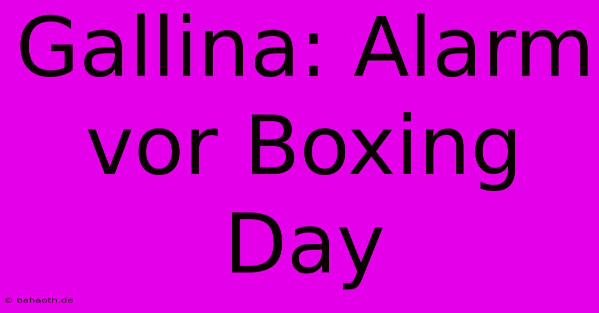 Gallina: Alarm Vor Boxing Day