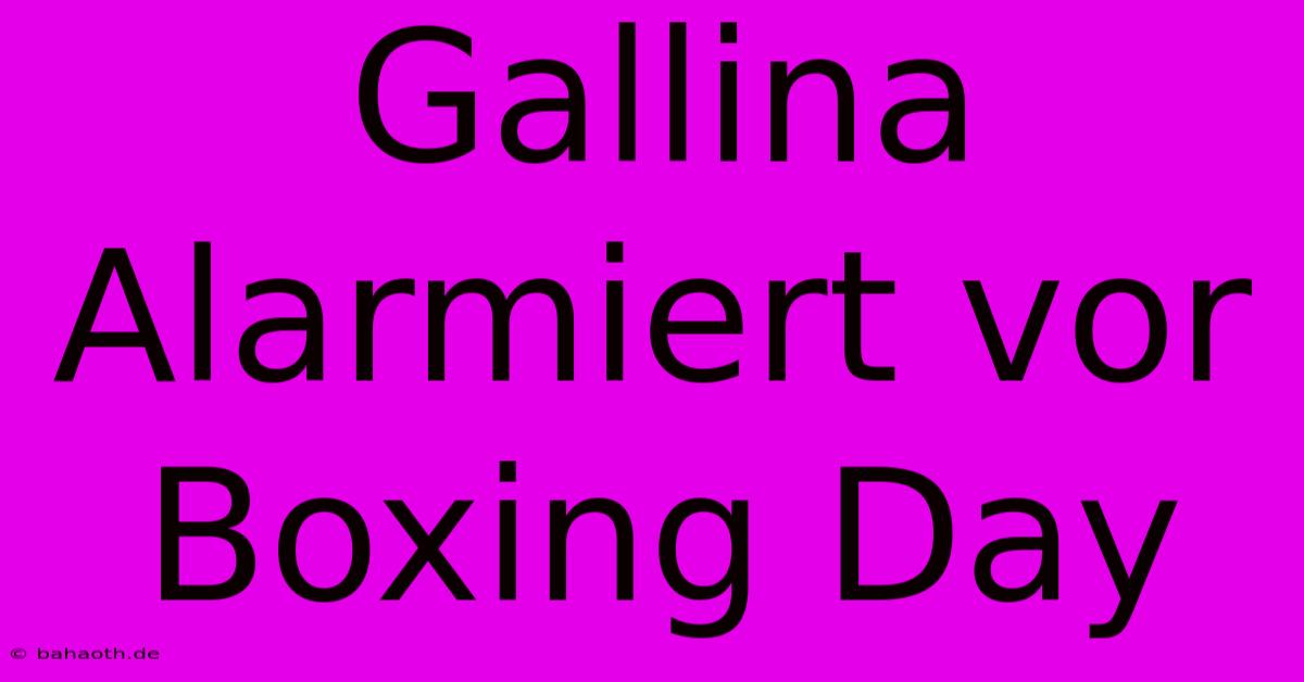 Gallina Alarmiert Vor Boxing Day