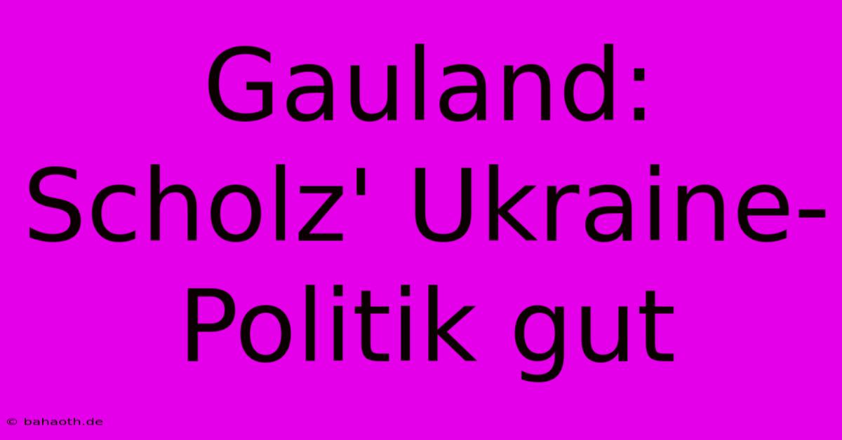 Gauland: Scholz' Ukraine-Politik Gut